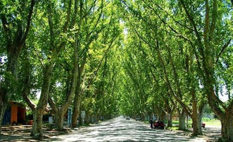 Imagen de Valle Punilla